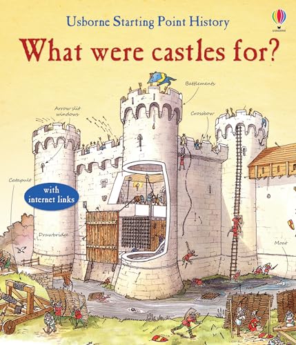 What Were Castles for?